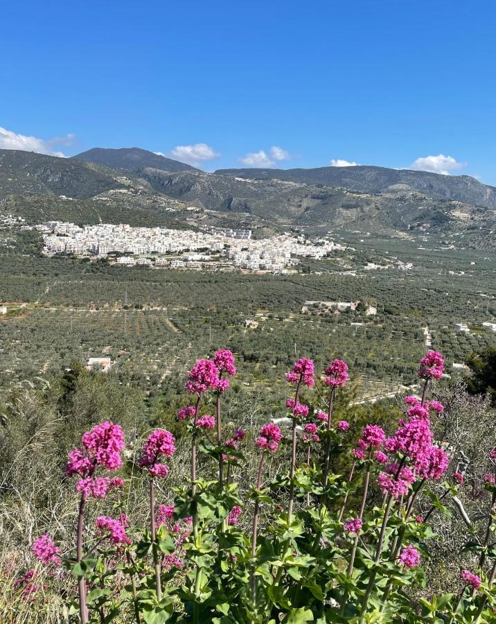 Orchidea Mattinata Parco Del Gargano Apartment Екстериор снимка