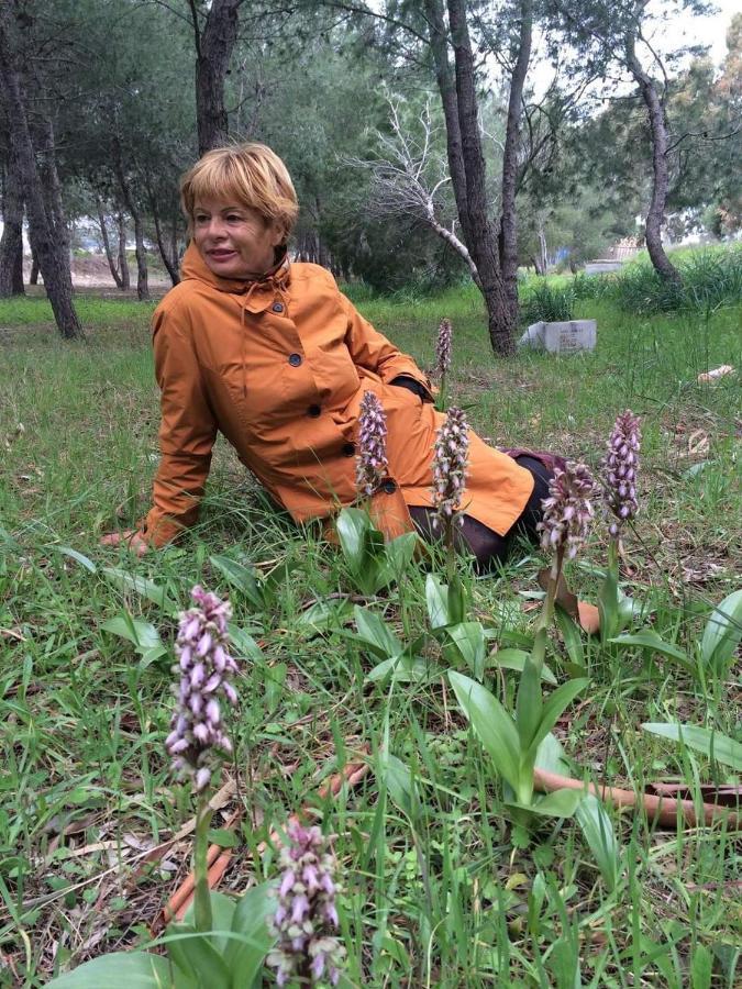 Orchidea Mattinata Parco Del Gargano Apartment Екстериор снимка