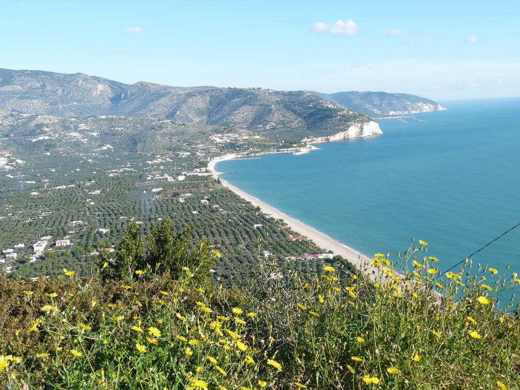 Orchidea Mattinata Parco Del Gargano Apartment Екстериор снимка