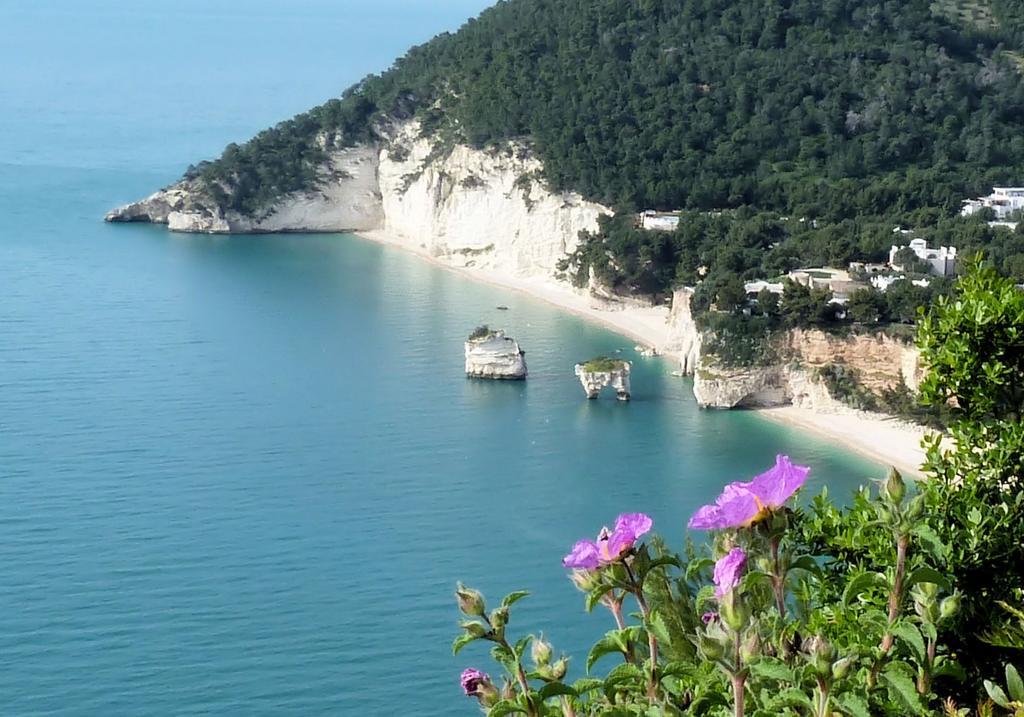 Orchidea Mattinata Parco Del Gargano Apartment Екстериор снимка